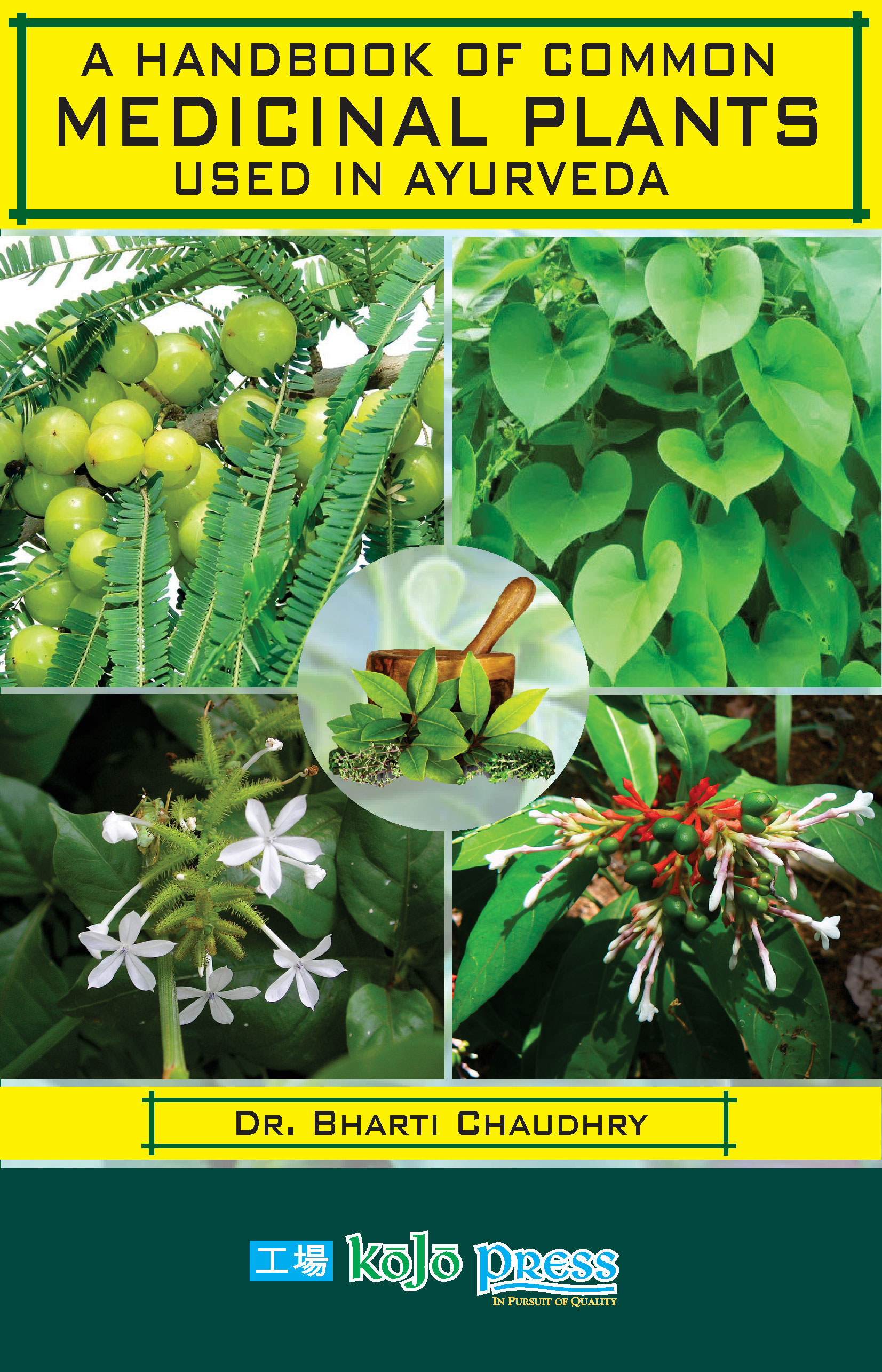 Indian Medicinal Plants And Their Uses With Pictures And Scientific 